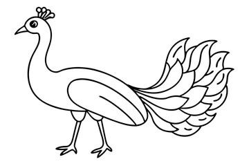 peacock line art silhouette vector illustration