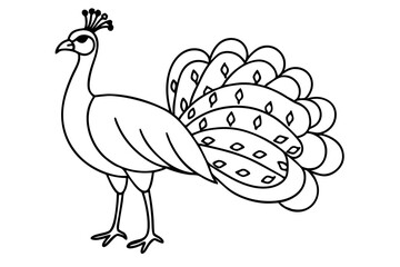 peacock line art silhouette vector illustration