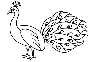 peacock line art silhouette vector illustration