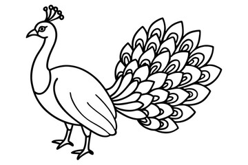 peacock line art silhouette vector illustration