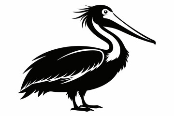 pelican line art silhouette vector illustration