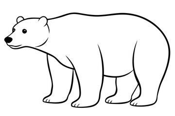 polar bear line art silhouette vector illustration