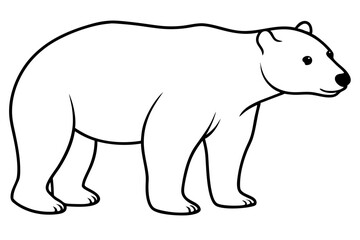 polar bear line art silhouette vector illustration