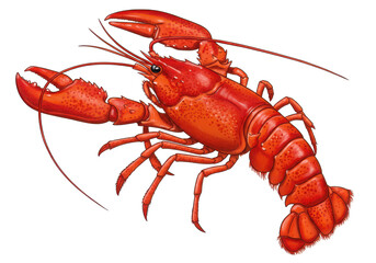 An illustration of a bright red lobster with large claws on a solid black background space is visible