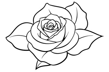 rose line art silhouette vector illustration
