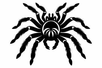 tarantula line art silhouette vector illustration
