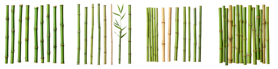 Obraz premium Multiple rows of tall slender green bamboo stalks arranged in a natural organic setting showcasing the sustainable and tranquil nature of this versatile plant