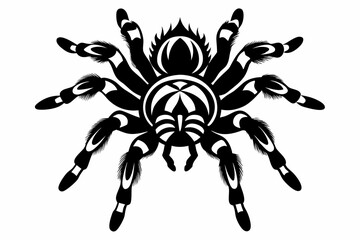 Obraz premium tarantula line art silhouette vector illustration