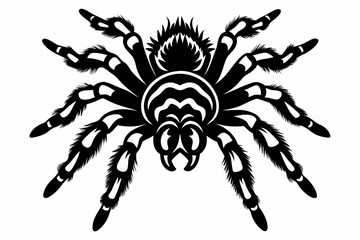 tarantula line art silhouette vector illustration