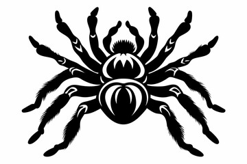 tarantula line art silhouette vector illustration
