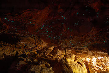 Mystery Creek Cave in Tasmanien. Eine Höhle im Inneren mit ganz vielen leuchtenden Glühwürmchen. Wildes Süd - Tasmanien.	
