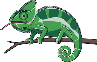 Naklejka premium Cute cartoon funny chameleon isolated on white backround