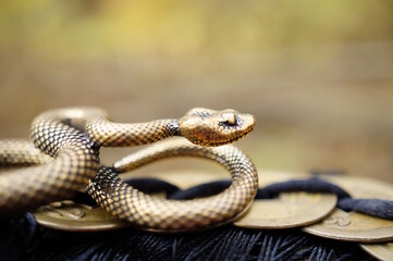 A statuette of a metal snake with Chinese coins.