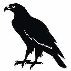 Fototapeta premium Perhead hawk standing in profile silhouette icon