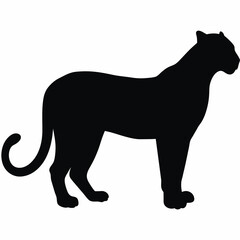 Fototapeta premium Big cat standing in profile silhouette icon