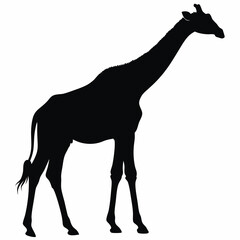 Giraffe standing in profile silhouette icon