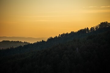 Forested Hill at Sunset