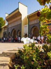 The Royal Palace of Fez - Morocco