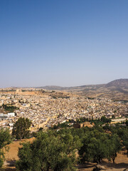 Fez - Morocco