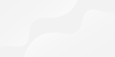 Modern white and gray background with gradient color and artistic dynamic line decoration abstract simple