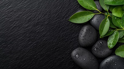 Wet black stones with green leaves and water droplets