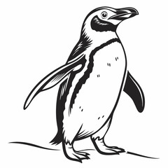 penguin on a white background