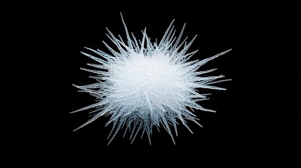 Fototapeta premium Delicate frostwork ice crystals, a study in natural elegance and minimalist beauty