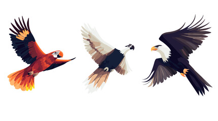 Fototapeta premium Vibrant illustration set displaying three distinct bird species in modern artistic style