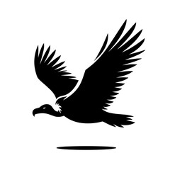 Obraz premium Flying vulture silhouette in motion on white background