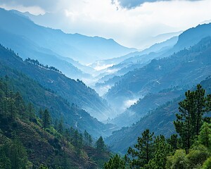 Fototapeta premium Misty Mountain Valley, Lush Landscape, Hidden Path, Scenic View
