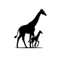 Fototapeta premium Giraffe with calf silhouette on white background