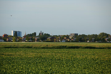 Expansive green fields in the foreground with a distant city skyline during late afternoon light