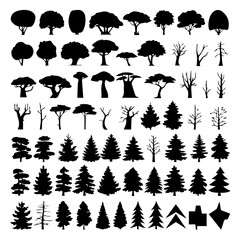 A collection of various tree silhouettes in different shapes and styles, including evergreen, deciduous, and leafless trees. The black silhouettes contrast against a white background, ideal for design