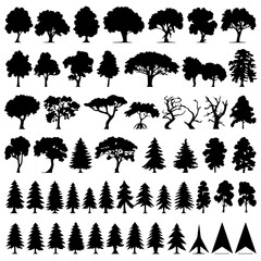 A collection of various tree silhouettes in different shapes and styles, including evergreen, deciduous, and leafless trees. The black silhouettes contrast against a white background, ideal for design