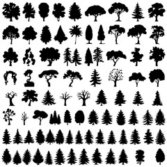 A collection of various tree silhouettes in different shapes and styles, including evergreen, deciduous, and leafless trees. The black silhouettes contrast against a white background, ideal for design