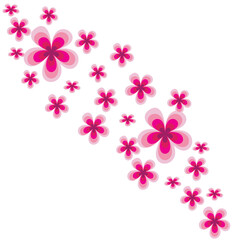 pink and white flowers