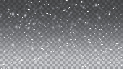 Snow and snowflakes on transparent background. Vector illustration.