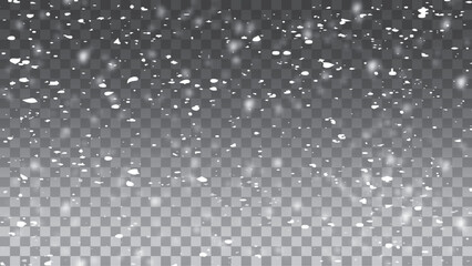 Snow and snowflakes on transparent background. Vector illustration.