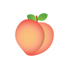 Peach fruit illustration isolated on a white background