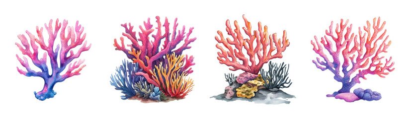Watercolor set of seashells with corals. Set of sea and ocean corals with sea urchin and algae. Concept of underwater marine plants. Elements for aquarium decor.