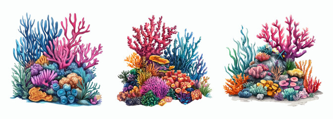 Watercolor set of underwater coral reefs. Coral reefs with various corals, seagrasses and underwater reefs. Concept of marine and oceanic growth. © Narin