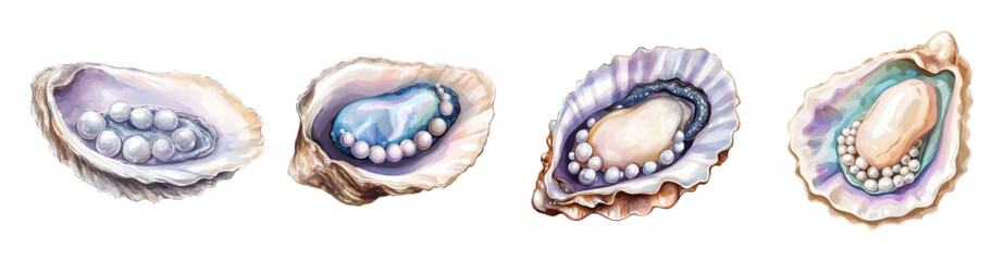 Watercolor set of oysters with pearls. Seashells oysters with pearls inside. Pearl cultivation concept. Natural pearl. Seashells with pearls. Jewelry pearls. Vector illustration.