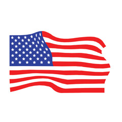 Obraz premium united states flag