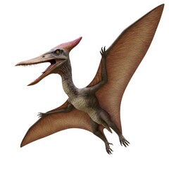 pterodactyl dinosaur 3d render © RiskySukandar
