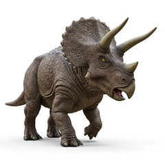 triceratops 3d render on white background © RiskySukandar