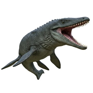 mosasaurs on white background 3d render