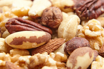 A detailed close-up of assorted mixed nuts, including Brazil nuts, hazelnuts, pecans, almonds, walnuts, and cashews, highlighting natural textures and earthy tones