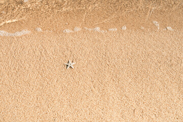 Sand beach with starfish and clear sea water in sunny day summer,Top view brown sand texture with copy space for text and product design for Summer vibes or,Holiday vacation banner