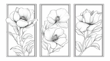 Three framed minimalist line art drawings of poppy flowers on a light background.
