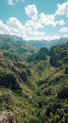 Fototapeta premium Mountain valley vista, lush greenery, rocky peaks, sunny sky